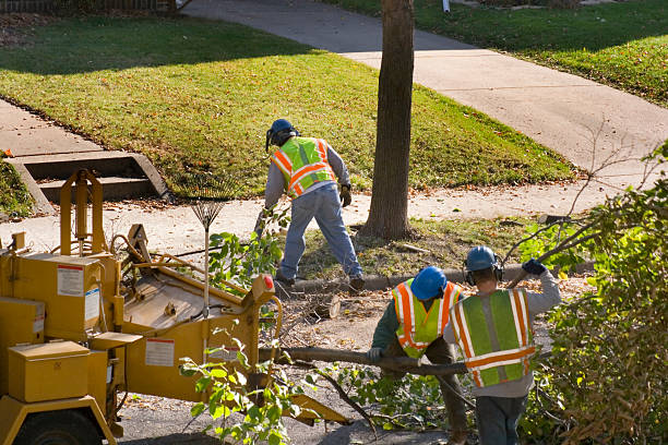 Best Tree Mulching  in Marine, IL